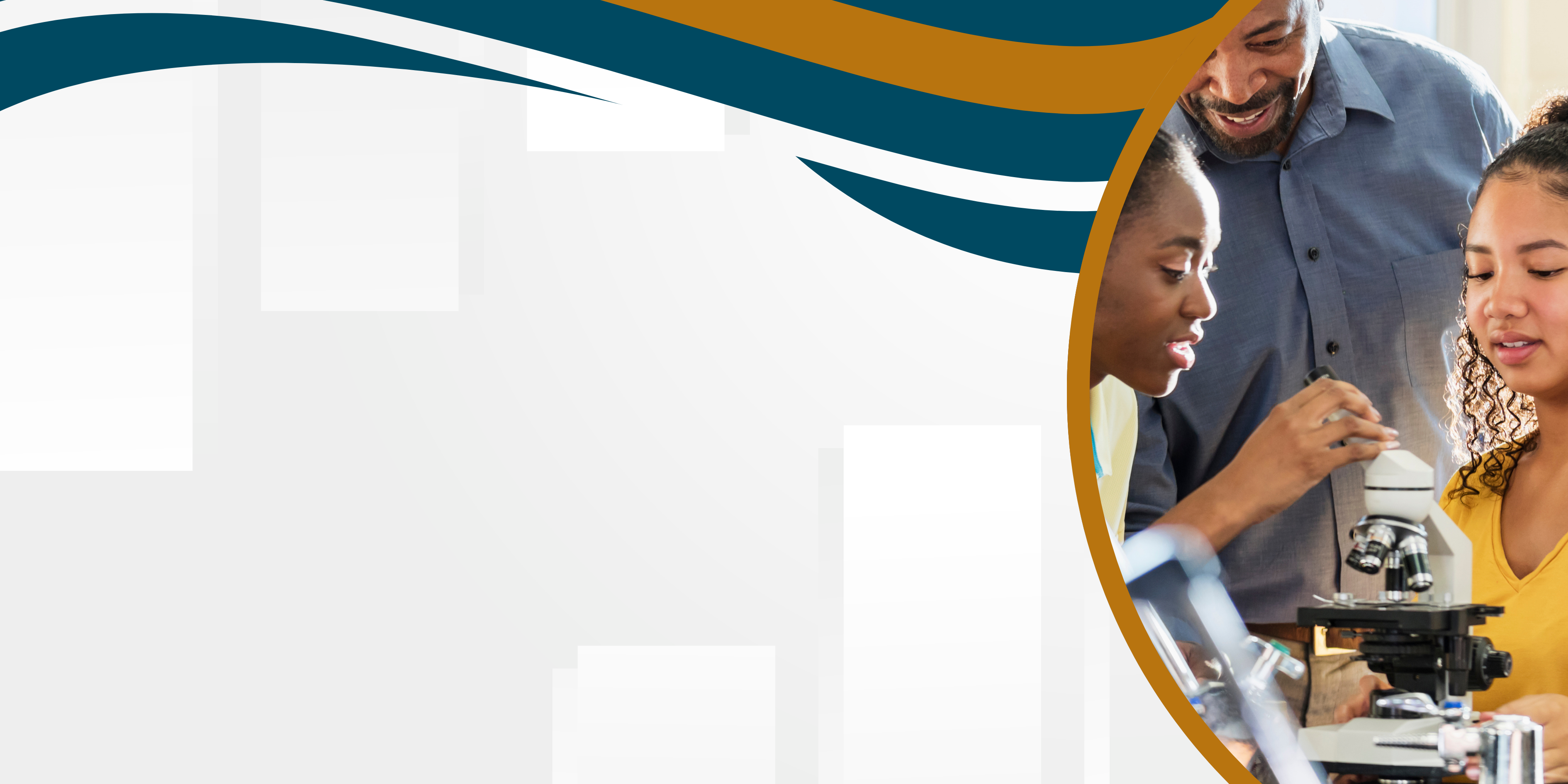 Líneas de investigación